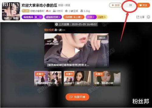湛江主播爆料事件视频曝光,揭秘背后惊人真相