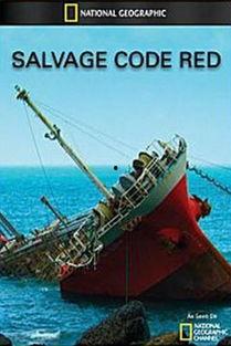 在线观看海上,探寻神秘海洋的奇幻之旅